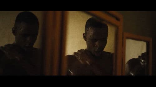 Testosterone: Volume Two Bild 4