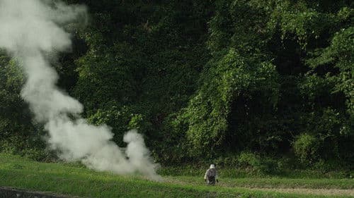 Little Forest: Winter/Spring Bild 6