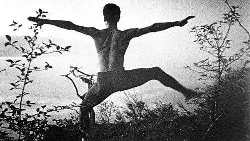 A Study in Choreography for Camera Bild 2