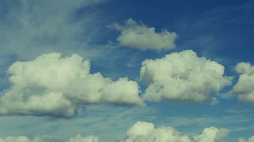 Live a Little Bild 1