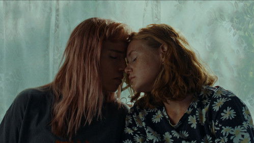 Der Venuseffekt Bild 5