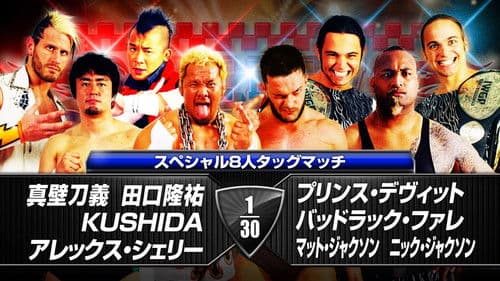 NJPW The New Beginning in Hiroshima 2014 Bild 3