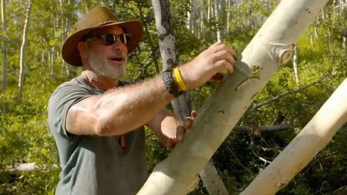 Bushcraft Build-Off Bild 2