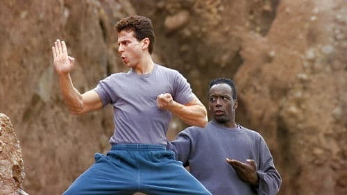 American Karate Tiger Bild 3