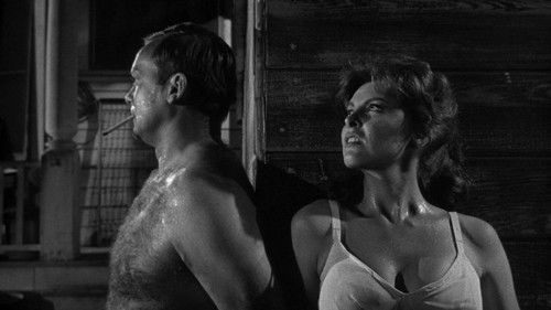 Gottes kleiner Acker Bild 4