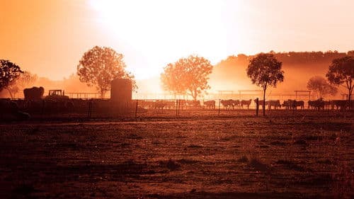 The Dirtwater Dynasty Bild 1