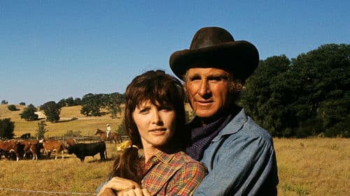 The Silent Gun Bild 2