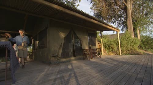 Big Cat Odyssey: Revealed Bild 2