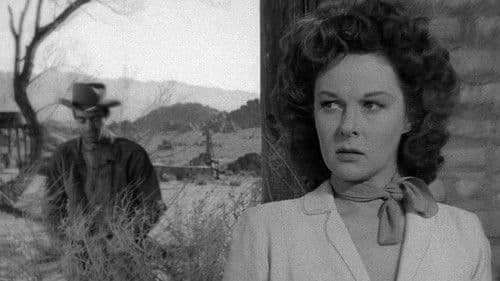 Zwei in der Falle Bild 6