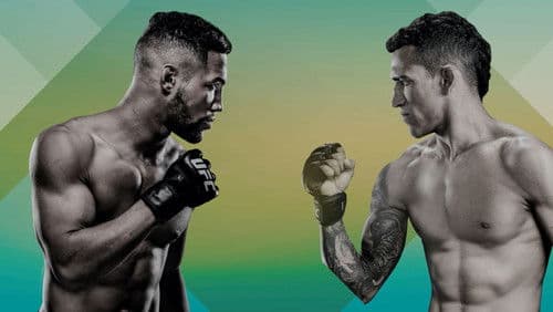 UFC Fight Night 170: Lee vs. Oliveira Bild 2