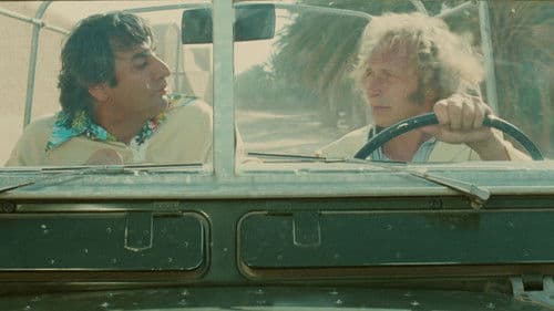 Zwei Kamele auf einem Pferd Bild 5