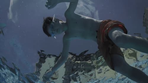 Freischwimmer Bild 4