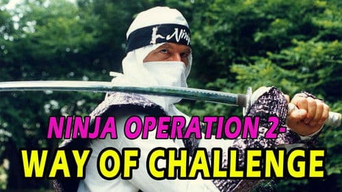 Ninja Strike Force Bild 4