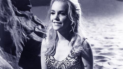 Mollymauk, der Wunderknabe Bild 6