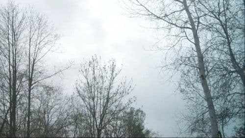 La Traversée Bild 1