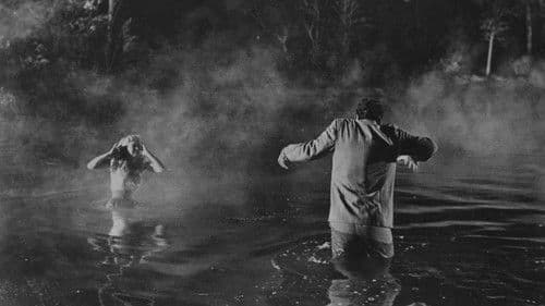 Die Hexenküche des Dr. Rambow Bild 5