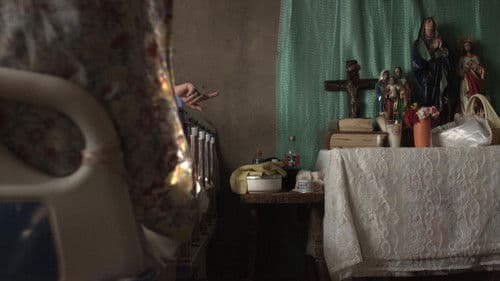 Buenos días, Margarita Bild 1