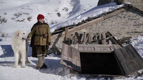 Belle & Sebastian - Freunde fürs Leben Bild 7