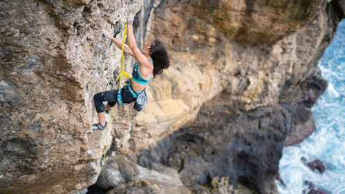 Pacific Lines Bild 1