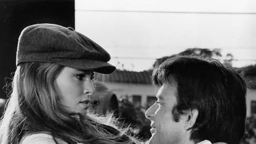 Tote Bienen singen nicht Bild 4