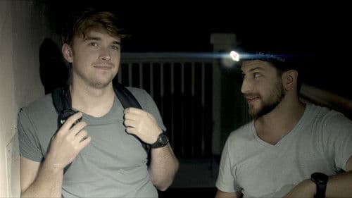 Hide in the Light Bild 6