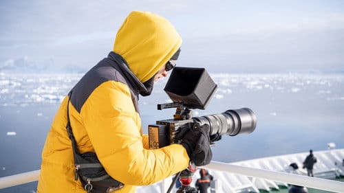 Sounds of the South Bild 3