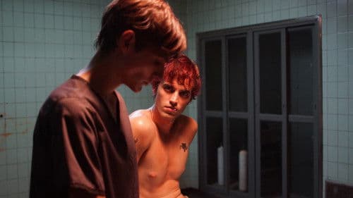 We Are Animals Bild 1