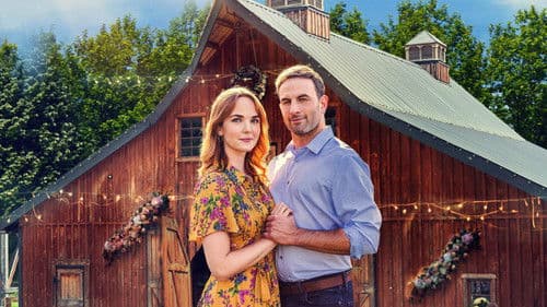 A Whirlwind Wedding - Hochzeitsplanung leicht gemacht Bild 5