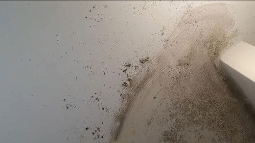 Symphonie Atonale Bild 1