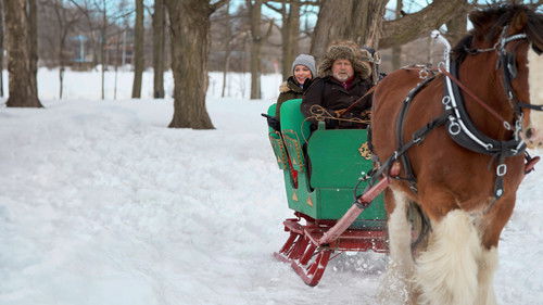 A Royal Christmas Crush Bild 5