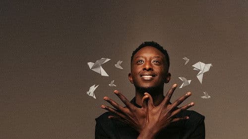Ahmed Sylla - Origami Bild 3