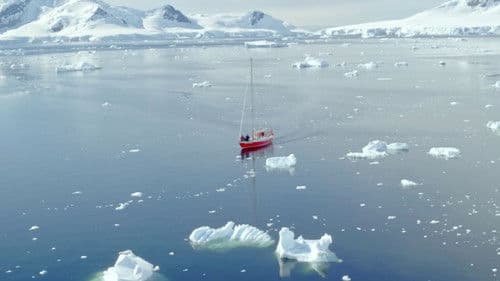 Let's go to Antarctica! Bild 2