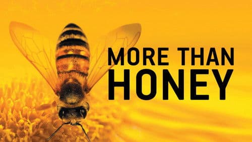 More than Honey - Bitterer Honig Bild 1