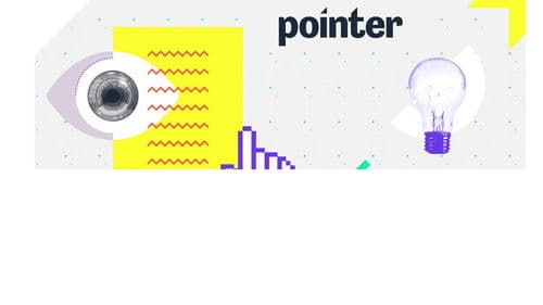 Pointer Bild 2
