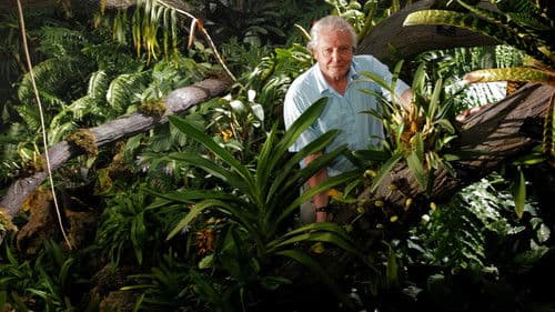 Im Reich Der Pflanzen - mit David Attenborough Bild 2
