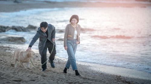 遇见不同的遇见 Bild 1