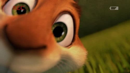 Hammys Bumerang Abenteuer Bild 1