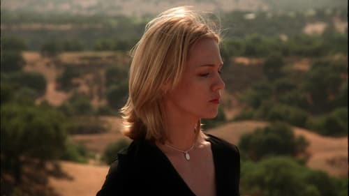 The Last Cowboy Bild 6