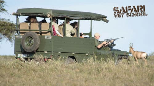 Safari Vet School Bild 2
