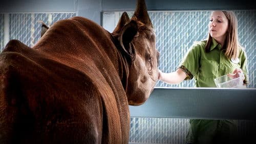 Die Magie von Disney's Animal Kingdom Bild 6