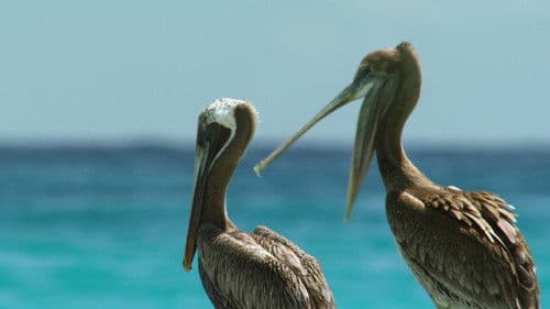 Kuba - Im Rhythmus der Natur Bild 1