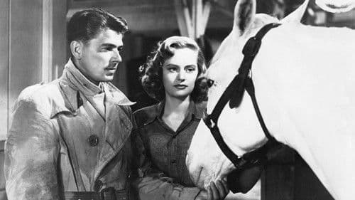 Stallion Road Bild 1