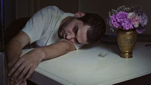 A Vida São Dois Dias Bild 1