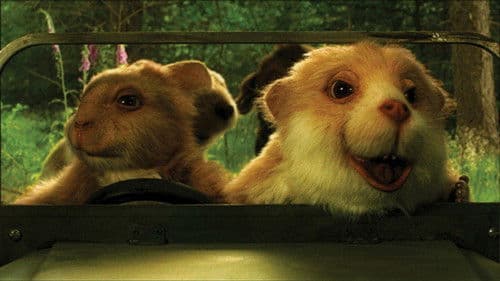 Abenteuer am Flussufer Bild 1