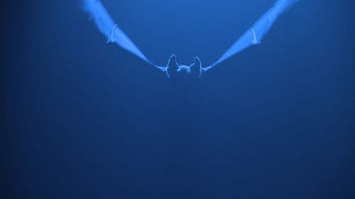 Batman Forever Bild 8