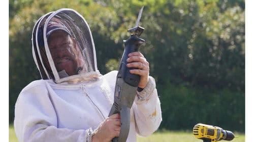 Charlie Bee Company Bild 3