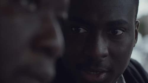 Nous les Griots Bild 1