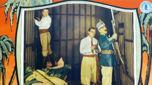 South Of Panama Bild 1