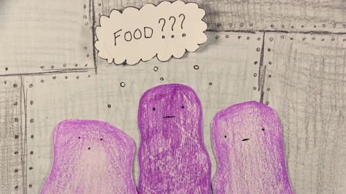 UFO: Unidentified Food Object Bild 1