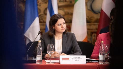 The Accidental President Bild 2